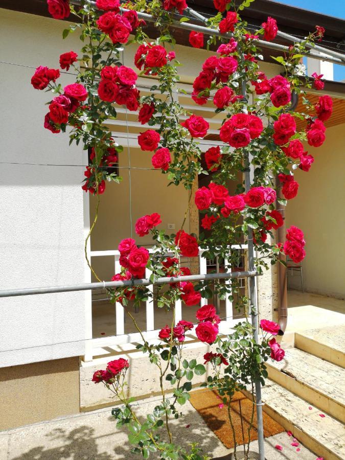 Brize Guest house Tuzla Buitenkant foto